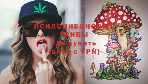 бутират Алексин
