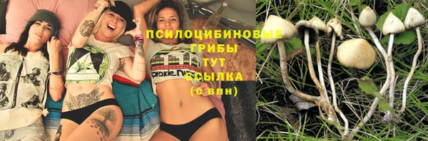 стафф Нея