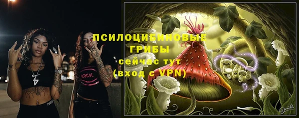 а пвп мука Алексеевка